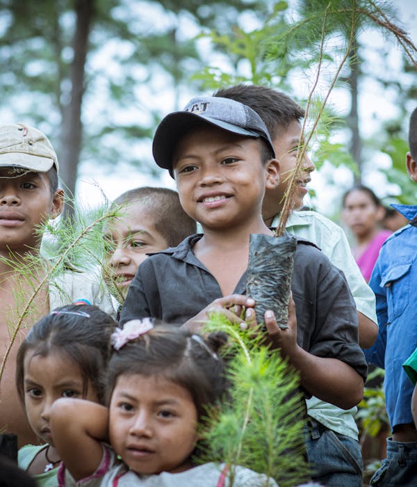 pexels-photo-25961210-1